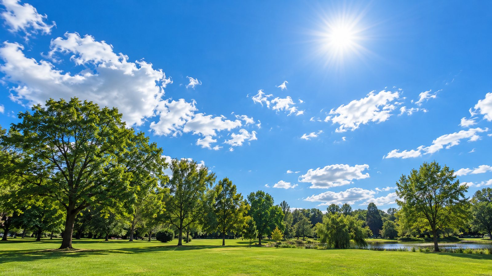 Midday sun over a park (illustrative)
